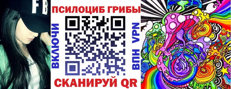 Псилоцибиновые грибы Psilocybine cubensis  дарк нет какой сайт  Темрюк  закладка 